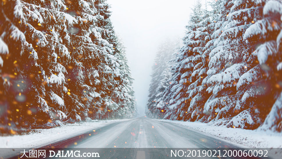 大雪纷飞的森林公路美景摄影图片