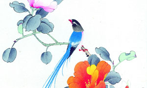 鮮艷花卉植物上的藍色小鳥繪畫圖片