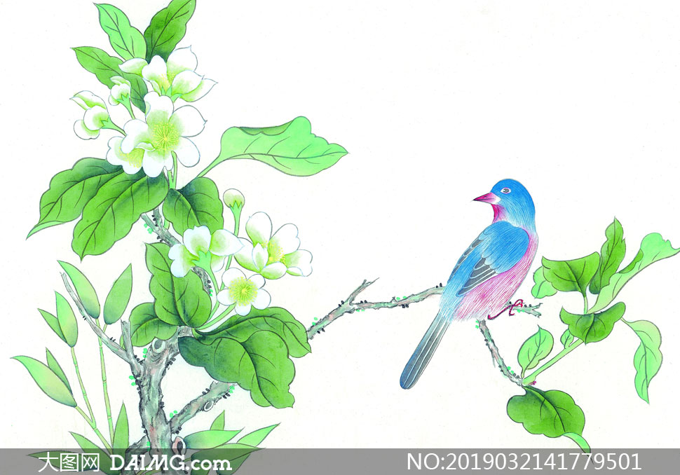树枝上的鸟绘画图片