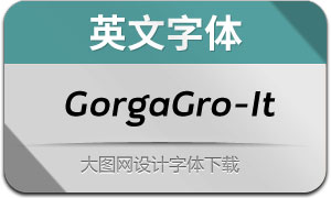 GorgaGrotesque-Italic(Ӣ)