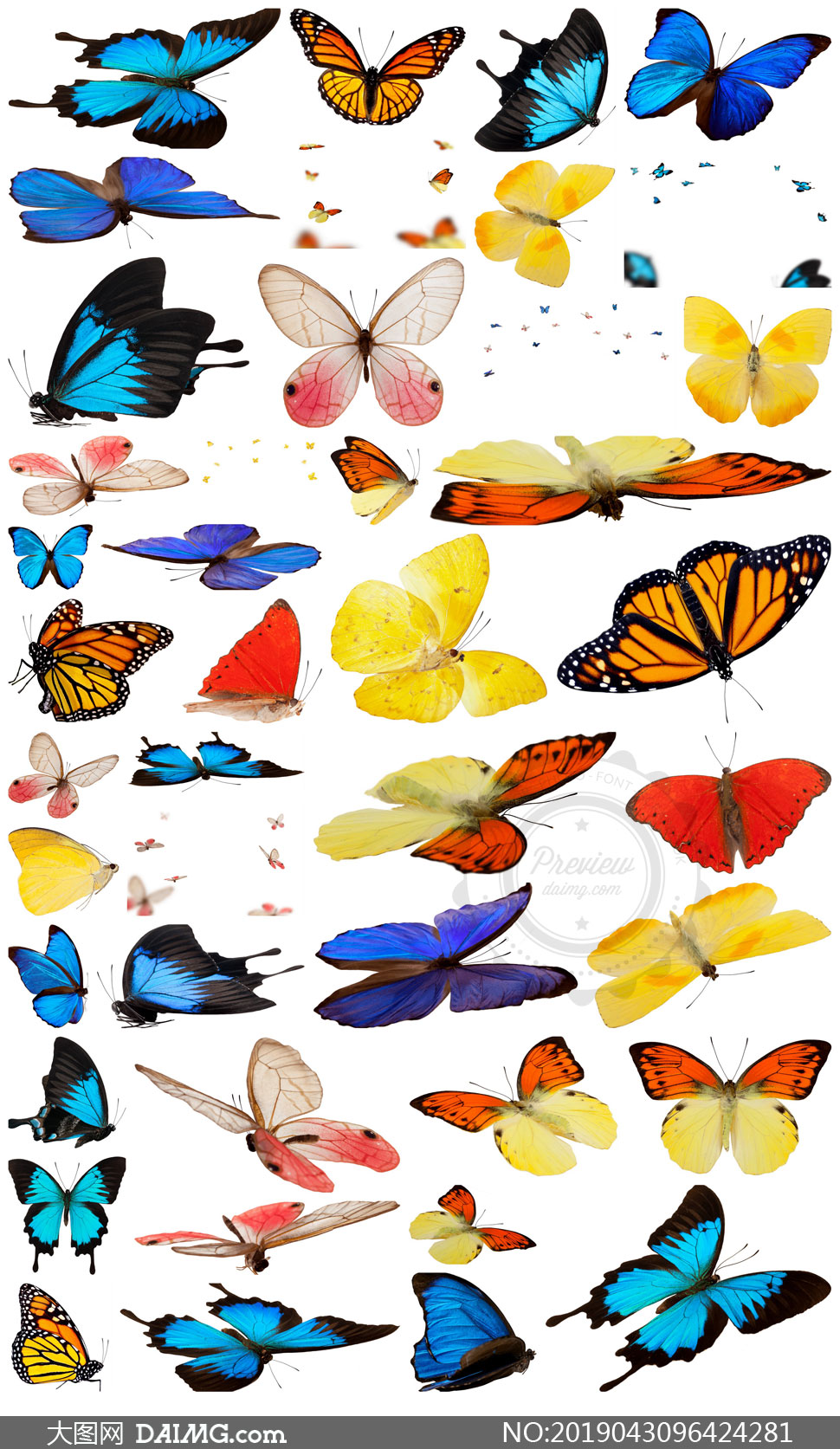 五彩形态不一蝴蝶元素高清图片集v1
