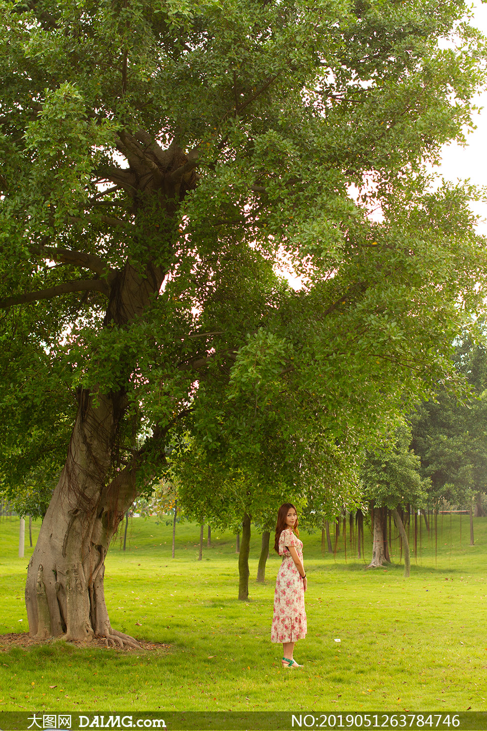 站在大树下的长裙美女写真摄影原片