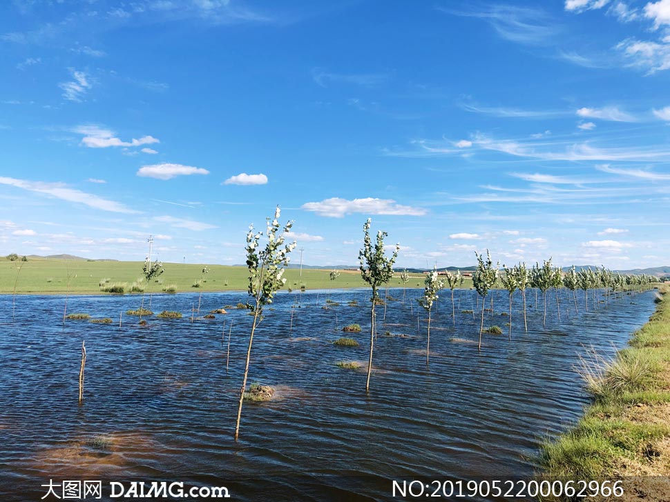 大图首页 高清图片 自然风景 > 素材信息        蓝天下的燕麦地高清