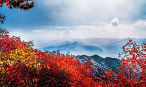 太行山美麗的山頂風(fēng)光攝影圖片