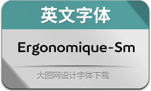 Ergonomique-Semibold(Ӣ)