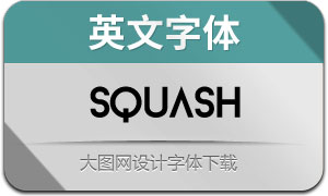 Squash(Ӣ)