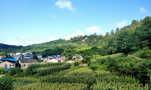 岳池洞賓觀美麗鄉(xiāng)村攝影圖片