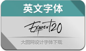 Expert2.0-Regular(Ӣ)