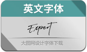 Expert-Regular(Ӣ)