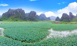 九龍峰林蓮湖美景攝影圖片