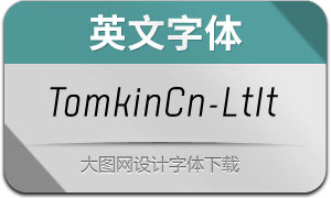TomkinCn-LightItalic(Ӣ)
