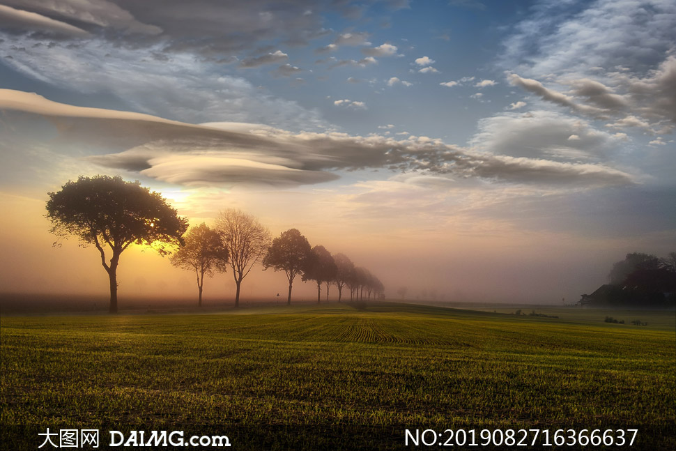 农田树木白云自然风景摄影高清图片_大图网图片素材