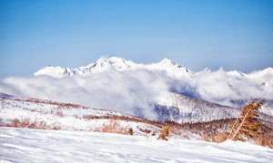 藍(lán)天下美麗的雪山和云霧攝影圖片