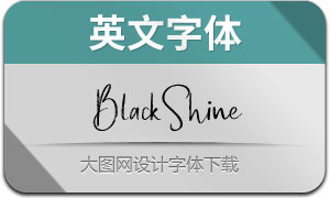 BlackShine(Ӣ)