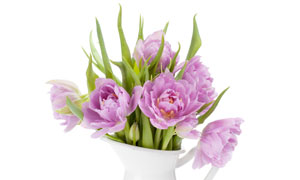 插在花瓶里的紫色花束摄影高清图片