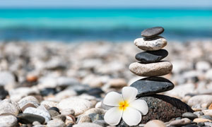 海边鹅卵石与一朵鲜花摄影高清图片
