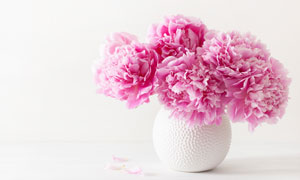 圆圆花瓶里的粉色插花摄影高清图片