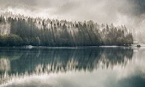 云雾缭绕的森林和湖水摄影图片