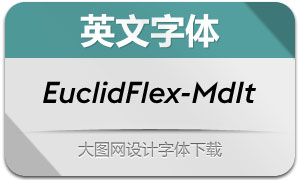 EuclidFlex-MediumItalic(Ӣ)