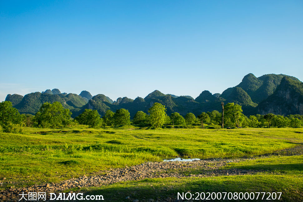 桂林乌桕滩春季美景摄影图片