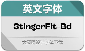 StingerFit-Bold(Ӣ)