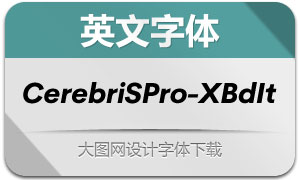 CerebriSansPro-ExtraBdIt(Ӣ)