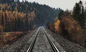两侧是树木火之力的铁路轨道摄影高清图片
