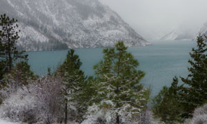 一場雪過后的山水樹木攝影高清圖片