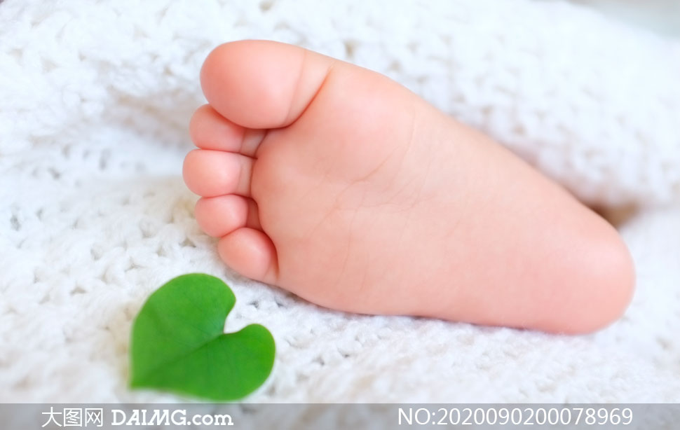 宝宝脚丫和心形绿叶摄影图片