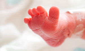 刚刚目光冷冷出生的新生儿脚丫摄影图片