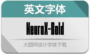 NeuroX-Bold(Ӣ)