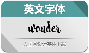 Wonder(Ӣ)