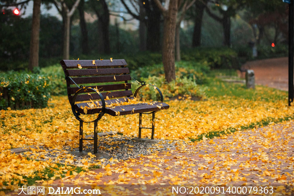 秋季公园落叶和长椅摄影图片