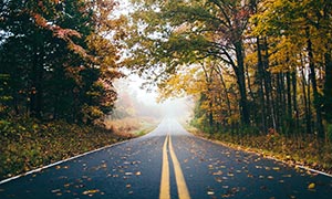 秋季田园道路和树林美景摄影图片
