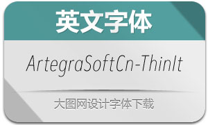 ArtegraSoftCn-ThinIt(Ӣ)