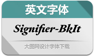 Signifier-BlackItalic(Ӣ)