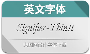 Signifier-ThinItalic(Ӣ)