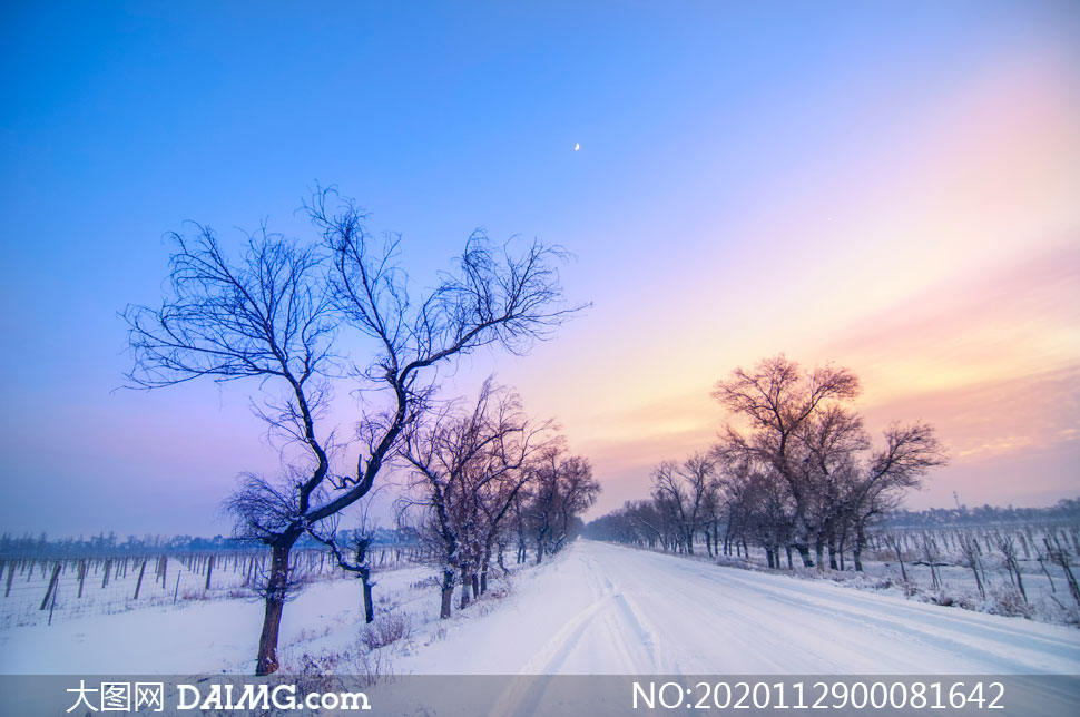 傍晚雪后田园风光美景摄影图片