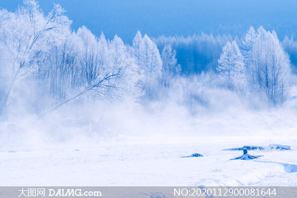 冬季森林中雾凇美景摄影图片