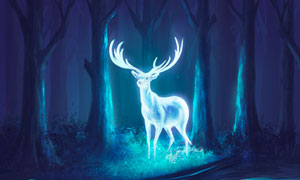 森林中发光的梅花鹿绘画设计图片