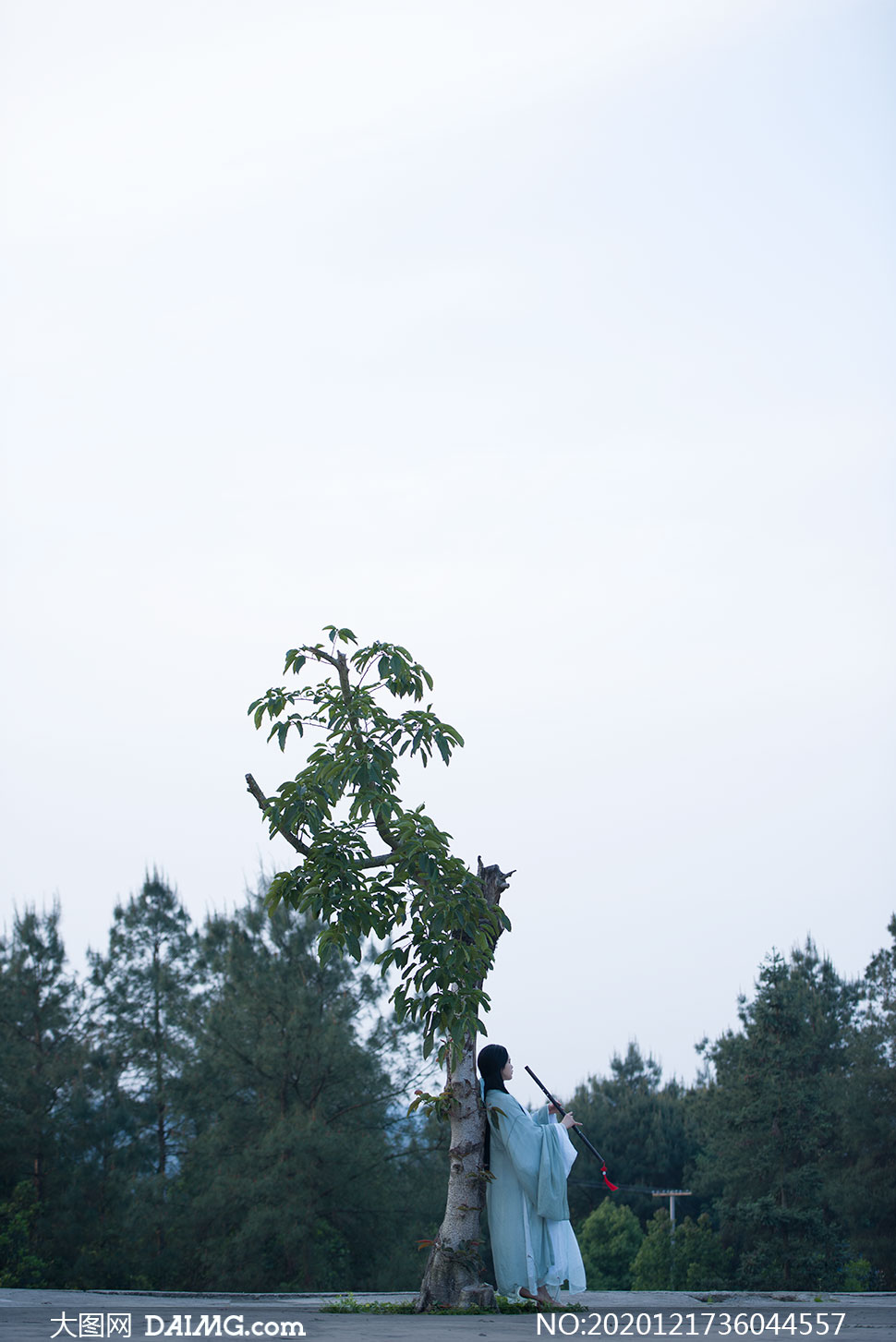 女人背靠大树唯美图片图片