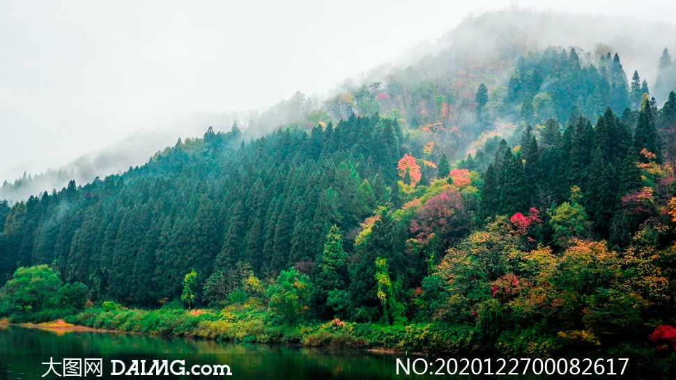 绿色山林中的雾气景观摄影图片_大图网图片素材