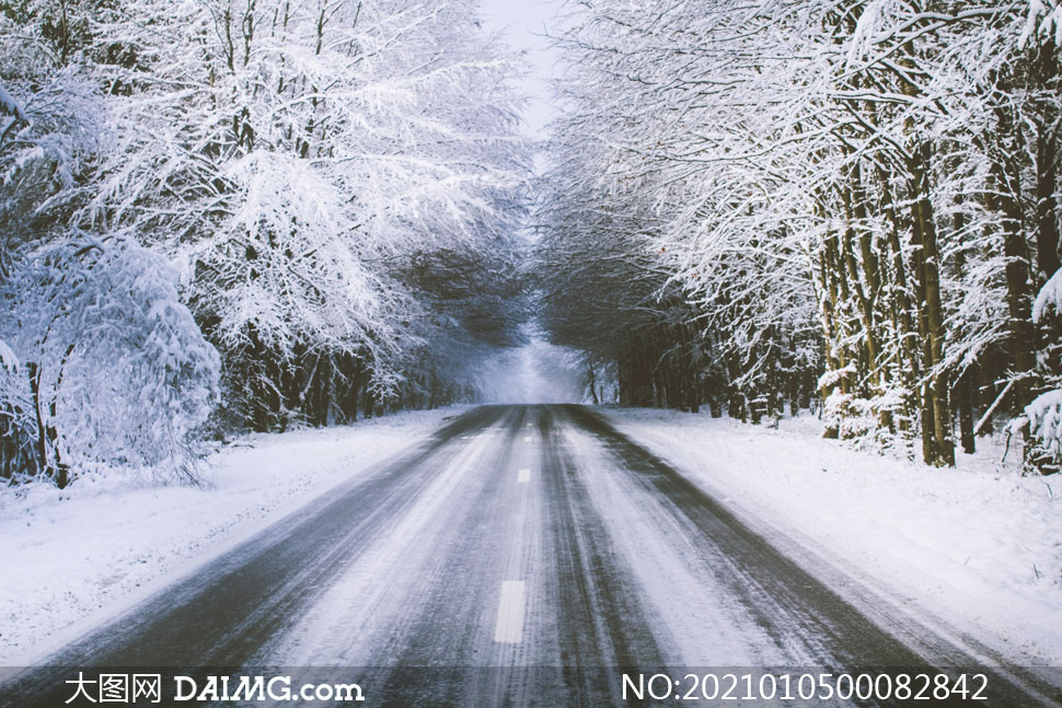 冬季雪后林中道路景观摄影图片