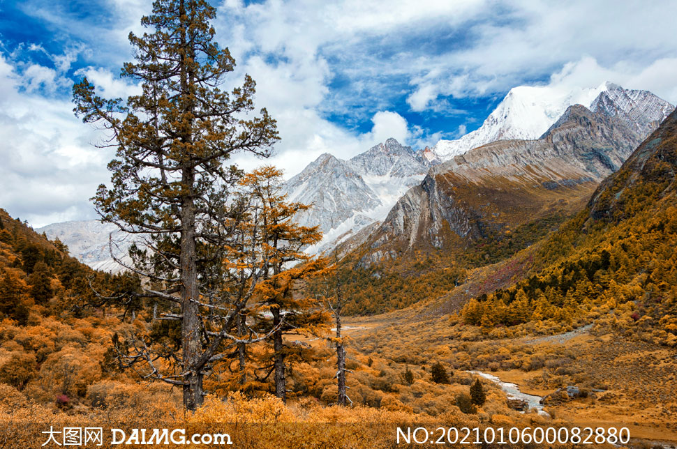 高清图片 旅游风光 素材信息 秋季稻城亚丁山谷风光摄影图片