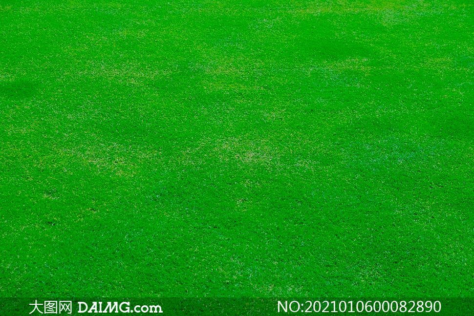 绿色草地背景高清摄影图片素材_大图网图片素材