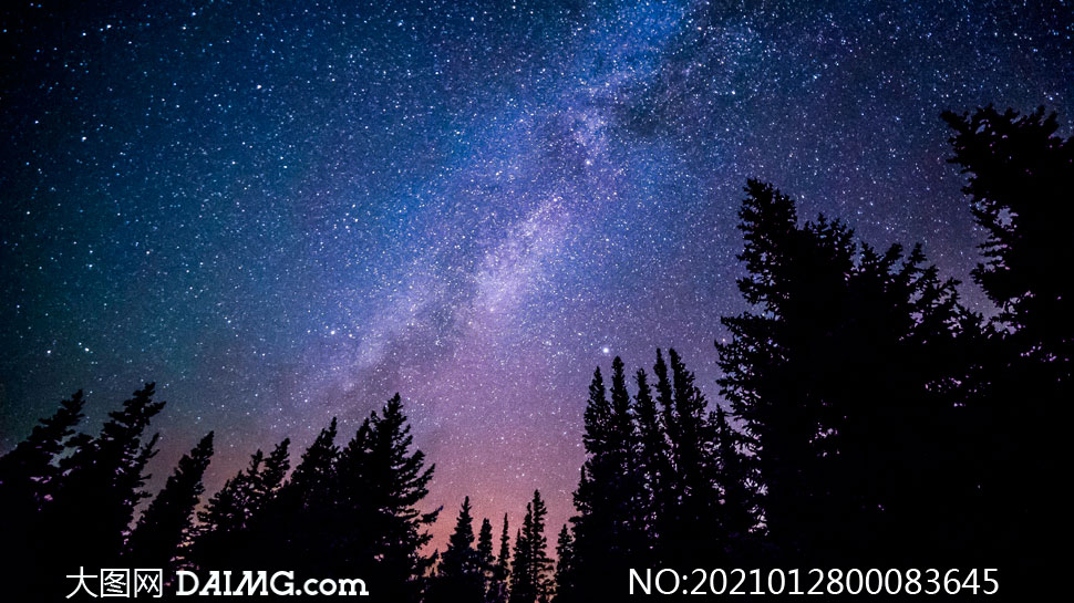 夜晚星空下的树林摄影图片