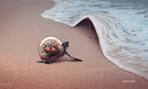 海边被掀起的浪花和海龟场景PS教程