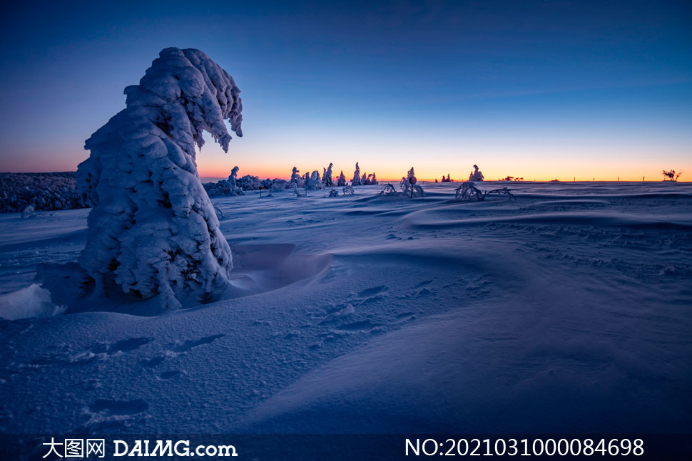 冬季早晨美丽的雪景和武松摄影图片