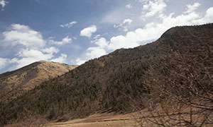 藍天白云大山樹木風景攝影原片素材