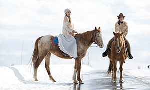 騎高頭大馬的美女人物攝影原片素材